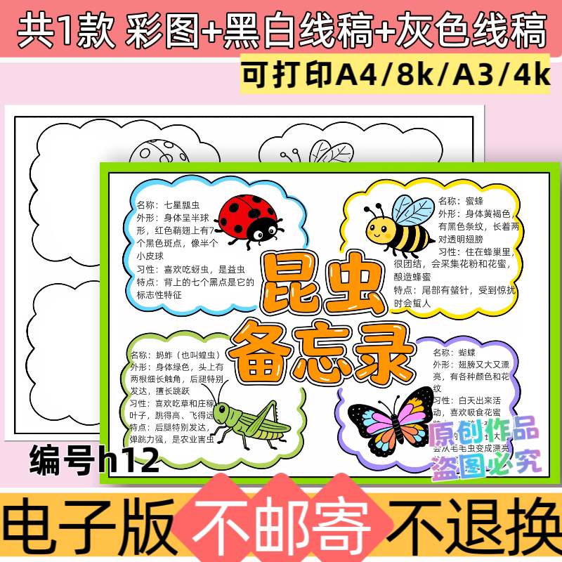 h12昆虫备忘录手抄报模板电子版线稿图黑白线稿图涂色打印素材