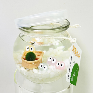 海藻球生态瓶桌面小宠物趣味大学宿舍马里莫工位绿植组合水生礼物