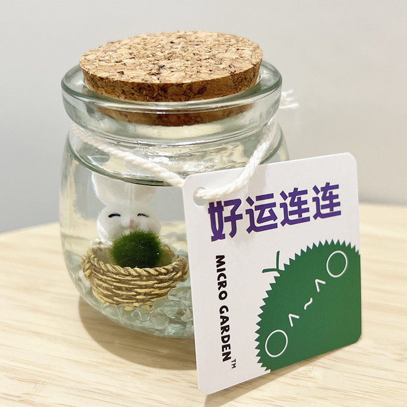 海藻球 活植物可爱桌面生态瓶微型景观绿植大学宿舍养的小型宠物