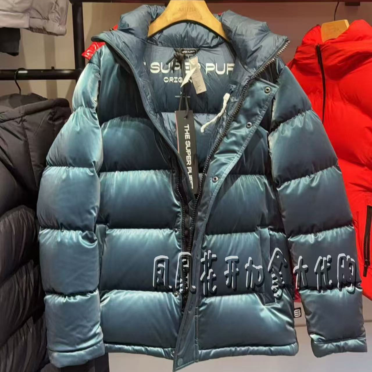 凤凰花开加拿大TNA女士正常款五格泡芙羽绒服