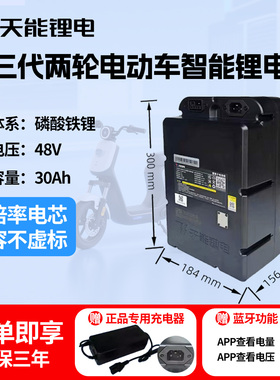 天能锂电池48v30ah电动车深远电瓶简易款铅酸轻便家用外卖两轮