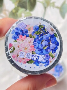 242 蓝莓不蓝 蓝莓不蓝 手帐胶带分装 6×100cm 和纸雾面贝壳光
