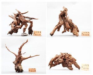 精品中型沉木造景沉木流木