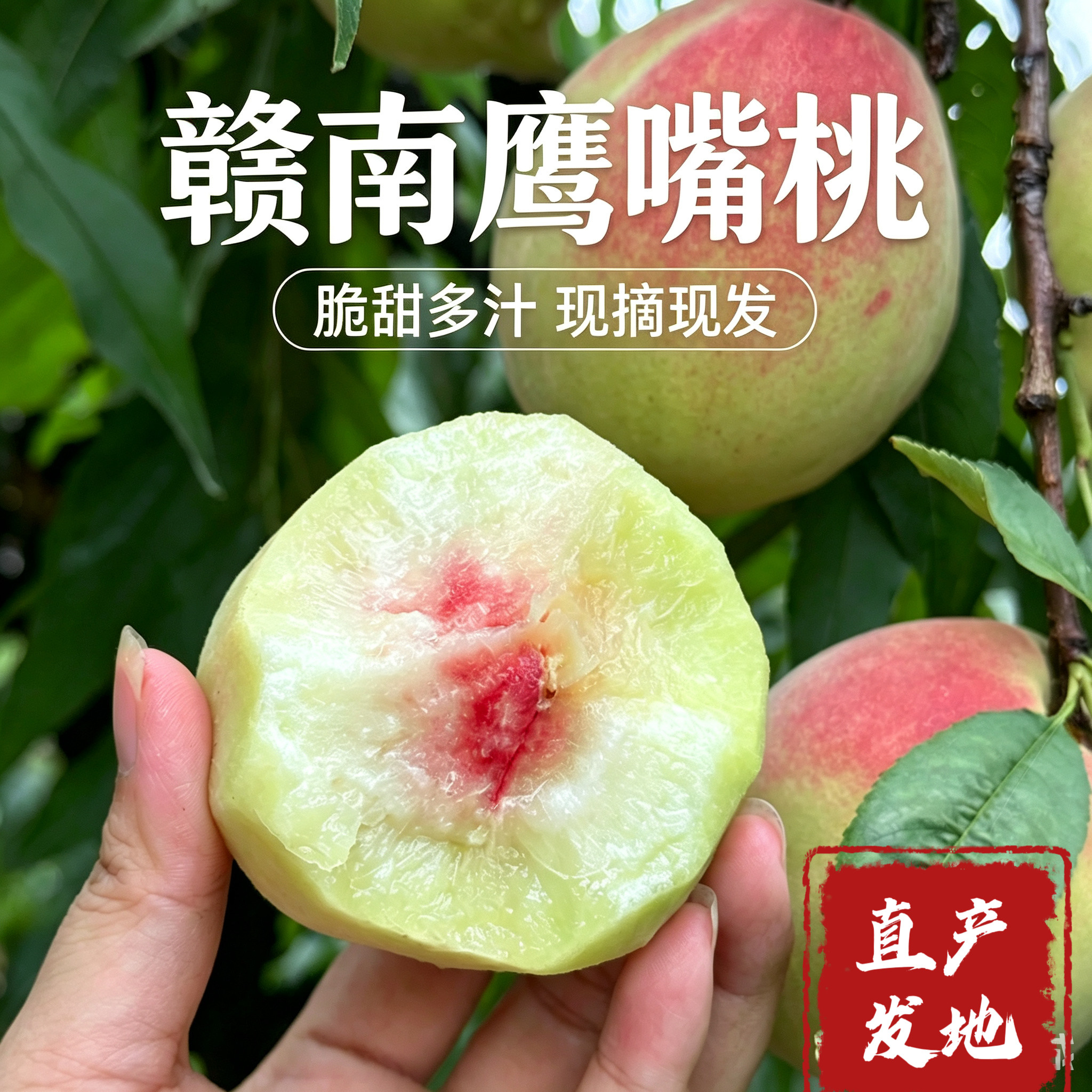 正宗鹰嘴桃现摘现发整箱4.5斤9斤