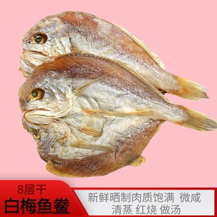 温州特产咸白梅鱼鲞渔民新鲜晒白梅干白姑鱼干黄山鲞咸鱼干7层干