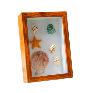 立体中空框架裱框3cm5cm干花礼物标本diy相框摆台展示框8寸10寸A4