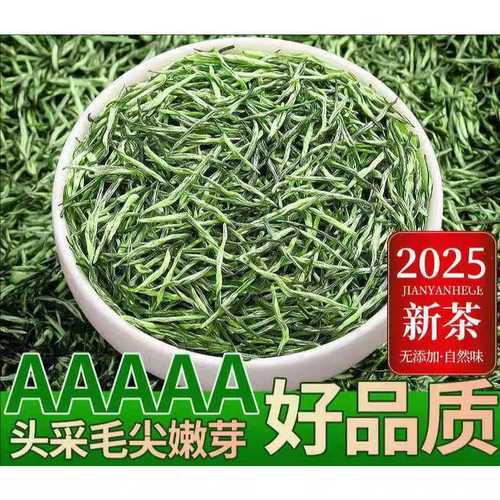 信阳毛尖原产2026春茶绿茶雨前嫩芽固始茶长辈送礼高品质茶叶毛尖