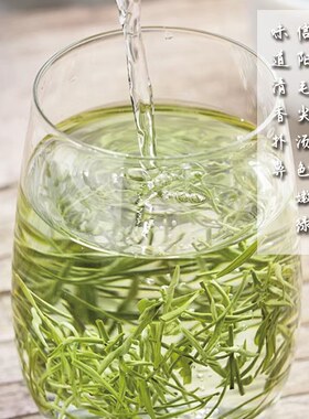 河南信阳毛尖茶叶2025年新茶送礼绿茶雨前毛尖