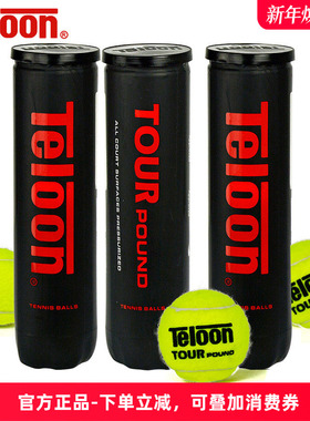 正品天龙网球Pound专业比赛用球Teloon成人训练罐装p4网球p3听装