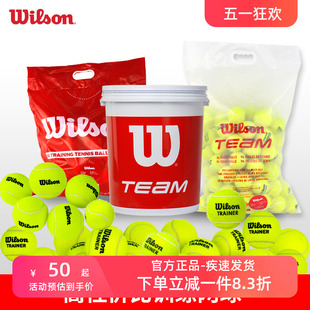 正品 wilson威尔胜网球训练球无压练习球耐磨比赛球威尔逊美网桶装