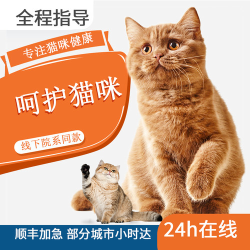 全龄段猫咪用见效快稳定性好