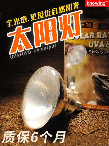 爬宠全光谱太阳灯补钙灯鬃狮陆龟