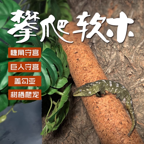爬宠软木棍爬棒随意棍R属睫角