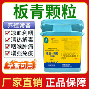 兽用正品板清颗粒增强免疫猪牛羊鸡鸭鹅清热解毒孕畜用饲料添加剂