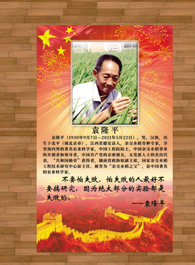 袁隆平贴画爱国教育装饰画中式卷轴画中国科学家挂画儿童房励志画