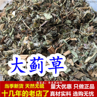 大蓟草中药材大计草野生干货大蓟草 大刺儿菜马蓟虎蓟刺蓟野刺菜