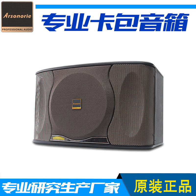 雅奇力专业10寸专业ktv卡包音箱 10寸会议室家用卡拉ok音箱