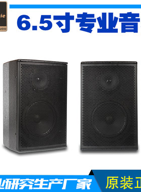 全频专业多功能环绕咖啡厅音箱