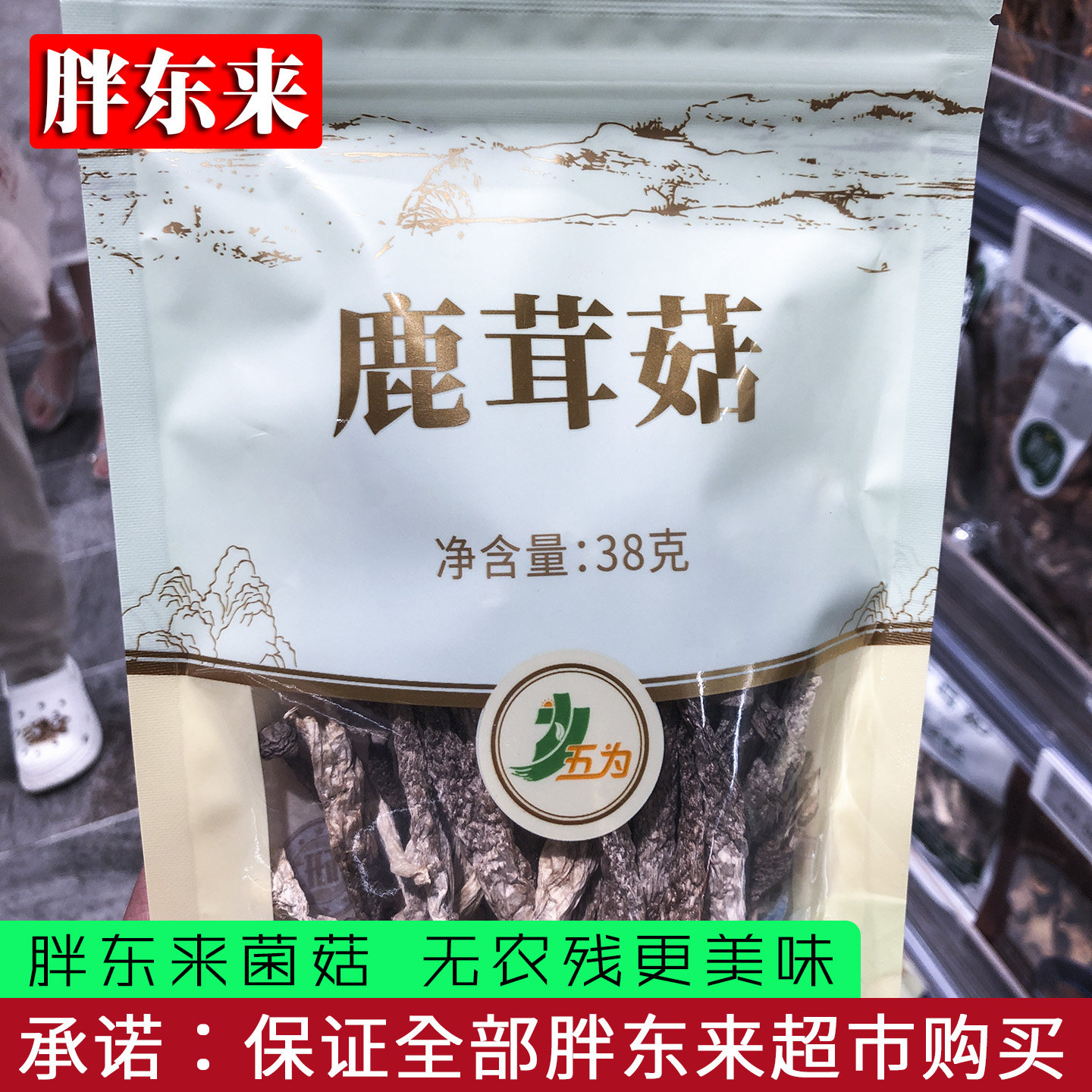 胖东来鹿茸菇38g 煲汤炖肉靓汤原料 菌菇料年货无根肉厚香味浓