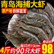 虾鲜活海虾青岛大虾超大基围虾速冻虾海鲜水产新冷冻对虾青虾4斤