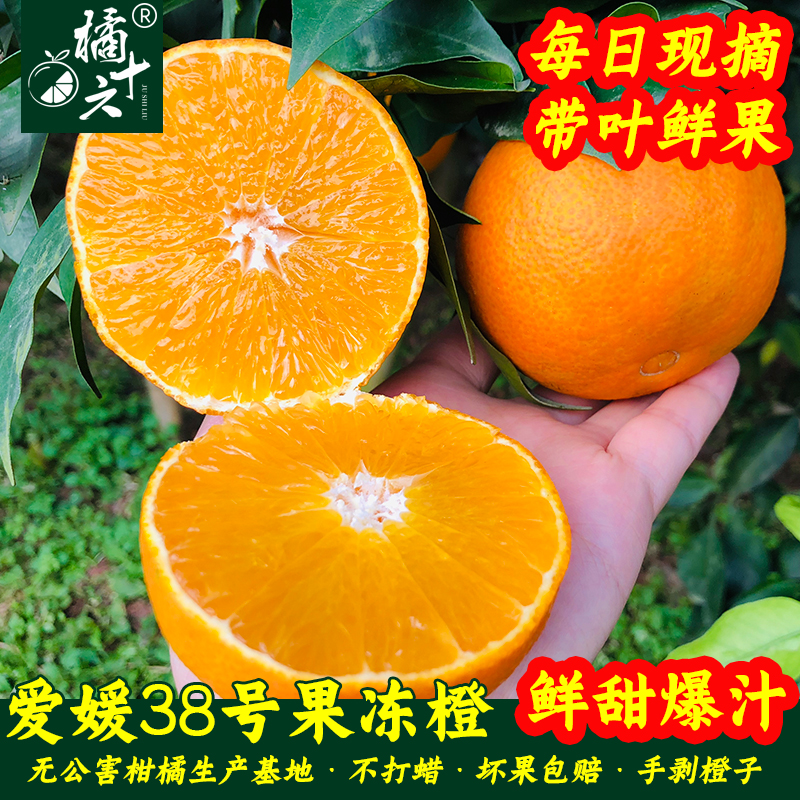 正宗爱媛果冻橙爆汁纯甜手剥橙