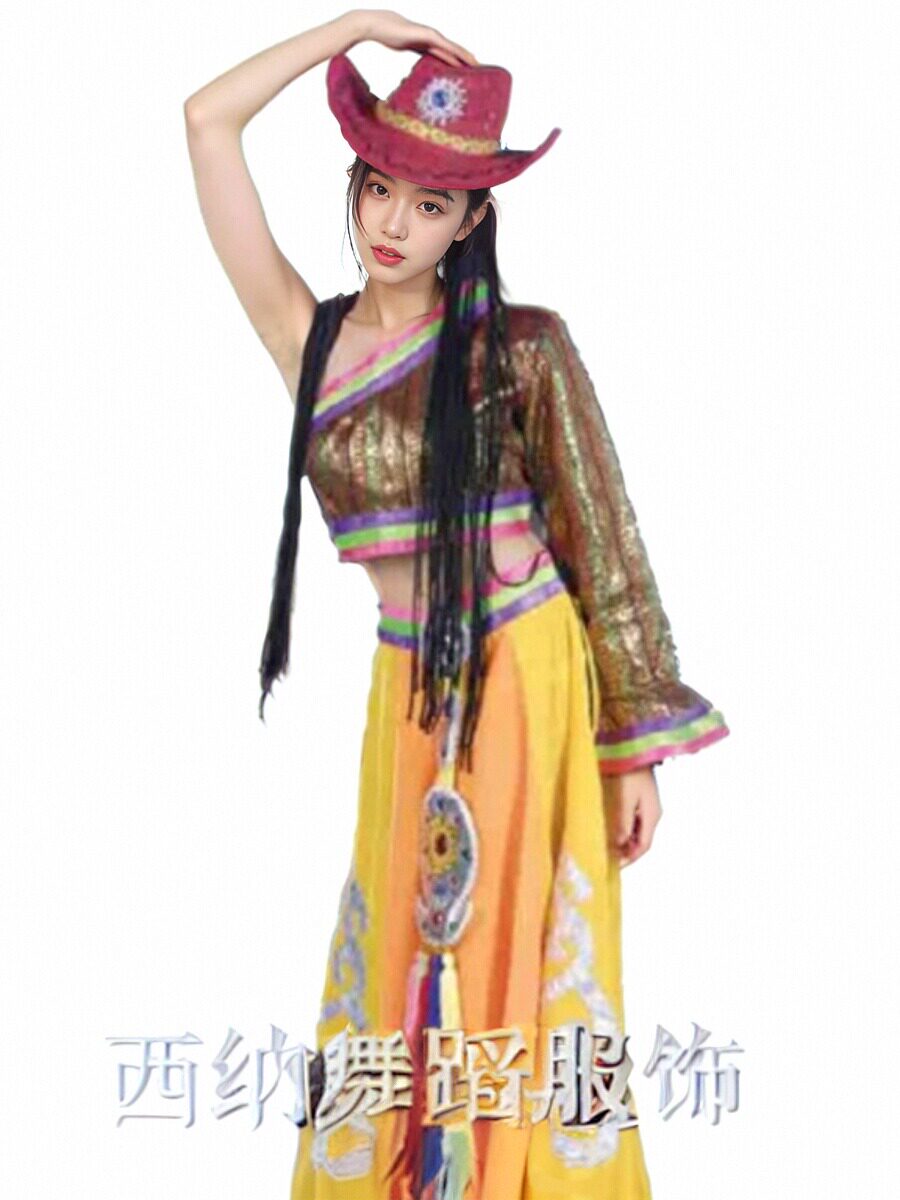 精品促销藏族大摆裙舞康定情歌舞蹈演出舞台表演民族服装舞女套装