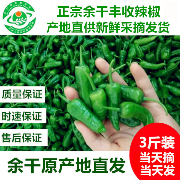 3斤余干小辣椒香辣薄皮现摘现发