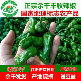 3斤江西特产正宗余干小辣椒新鲜农家丰收辣椒枫树土辣椒现摘青椒