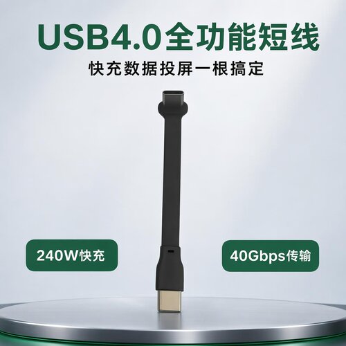 Type-C4.0公转公弯头240W线