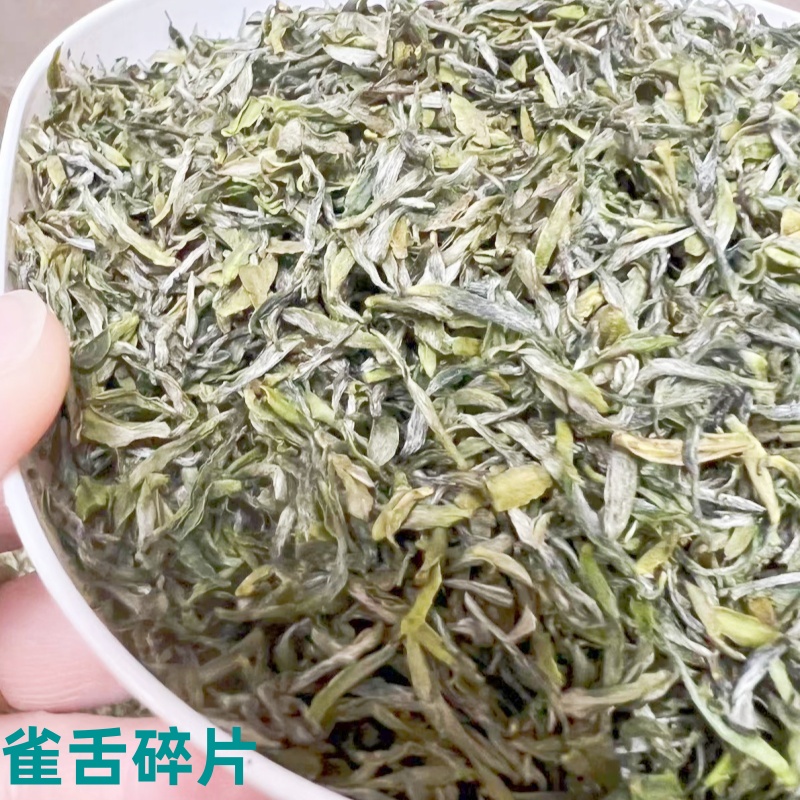 新茶头采绿茶萼山雀舌碎片