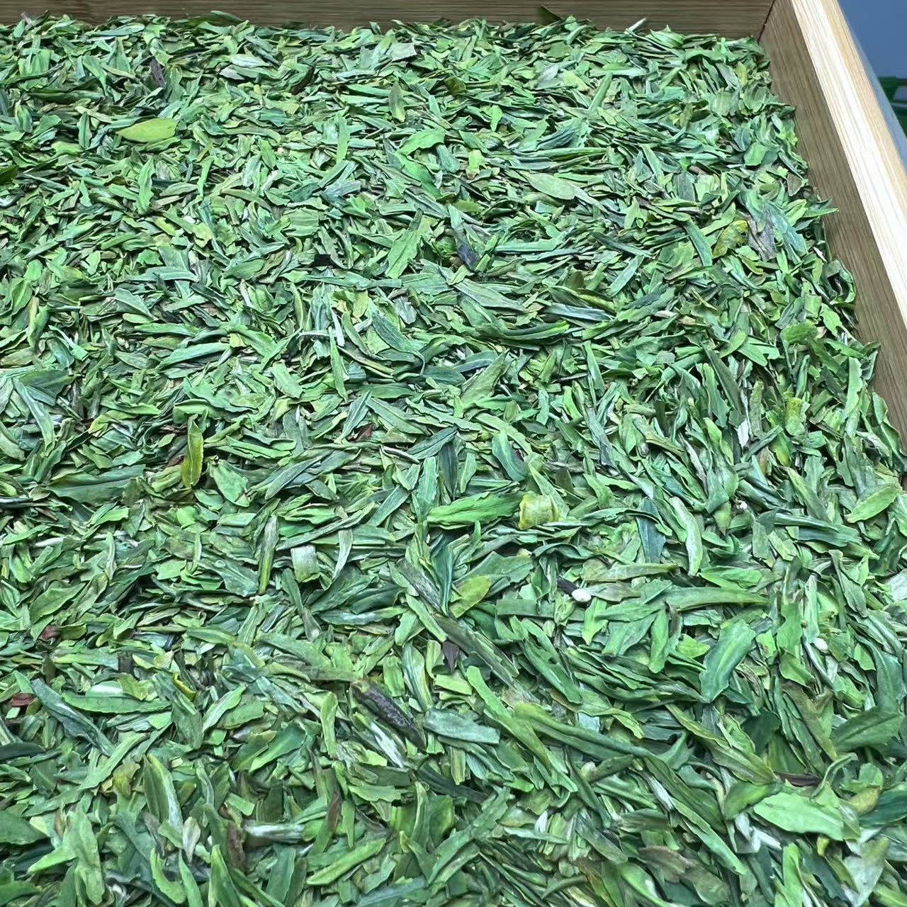 2026年新茶上市万源大巴山头采明前雀舌碎片茶片竹片绿茶现炒现卖
