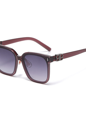 2025新款墨镜高级感韩版潮男款