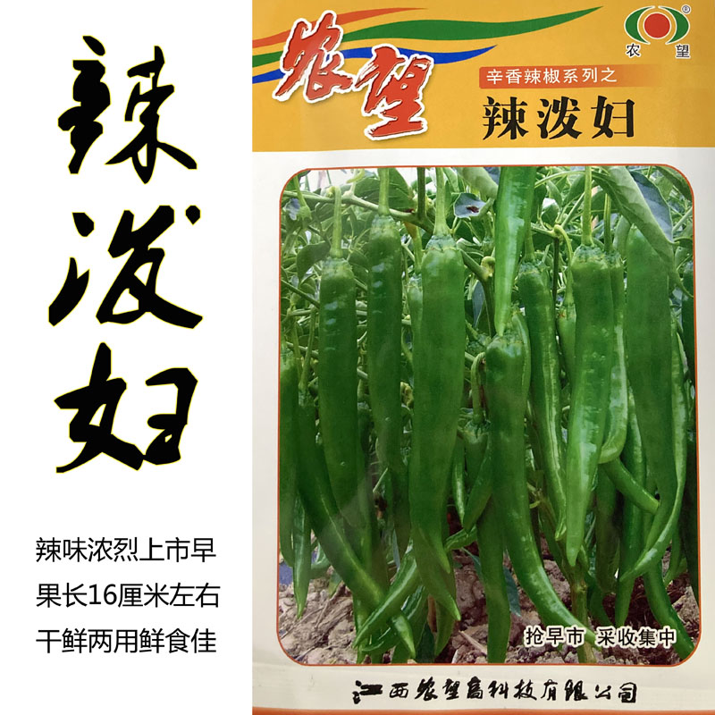辣椒种子羊角椒辣味浓郁上市早辣泼妇大田基地辣椒苗蔬菜种子包邮在类目 鲜花速递/花卉仿真/绿植园艺, 花卉/蔬果/草坪种子（新）, 家庭园艺种子中 - 来自Buy2taobao.com提供专业的淘宝代购服务