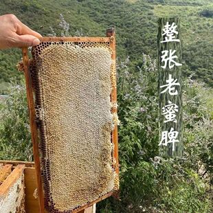 蜂巢脾笼蜂巢脾笼蜂巢脾笼蜂巢脾笼蜂巢脾笼蜂巢脾笼蜂巢脾笼