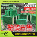 蜜蜂王蜂群带子授粉蜂活群整箱出售草莓授粉蜜蜂蓝莓授粉果蔬授粉