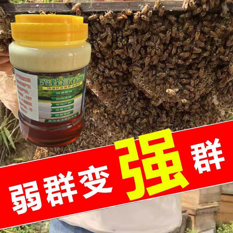 蜜蜂食物营养液 中锋意蜂过冬营招蜂水/诱蜂蜡