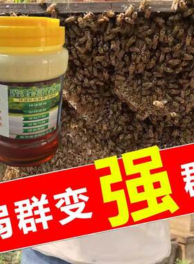 蜜蜂食物营养液 中锋意蜂过冬营养液 蜂蜜和花粉混合可让蜂群储存
