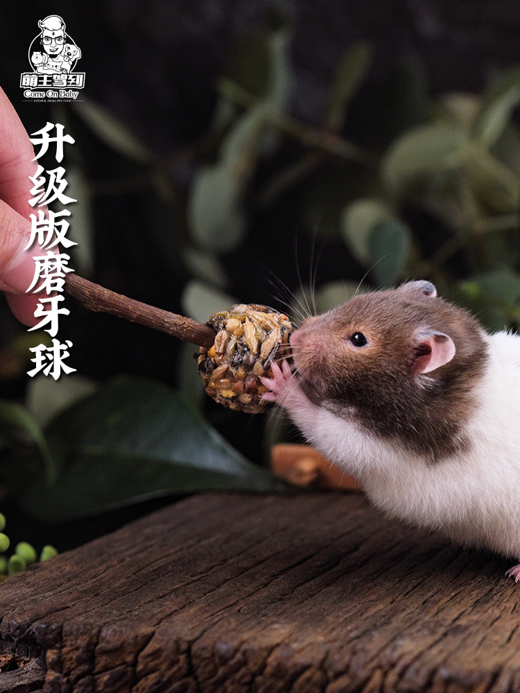 Hamster Teething Ball Natural Grain Ball Snack Combination No Additive Supplies Grain Package Golden Bear