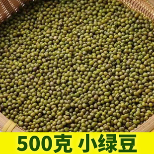 新货500g绿豆薄皮小绿豆发豆芽专用绿豆汤煮粥配料绿豆沙自制原料