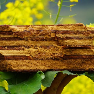 梦幺妹-大块红糖纯甘蔗无添加古法土红糖块状姨妈糖