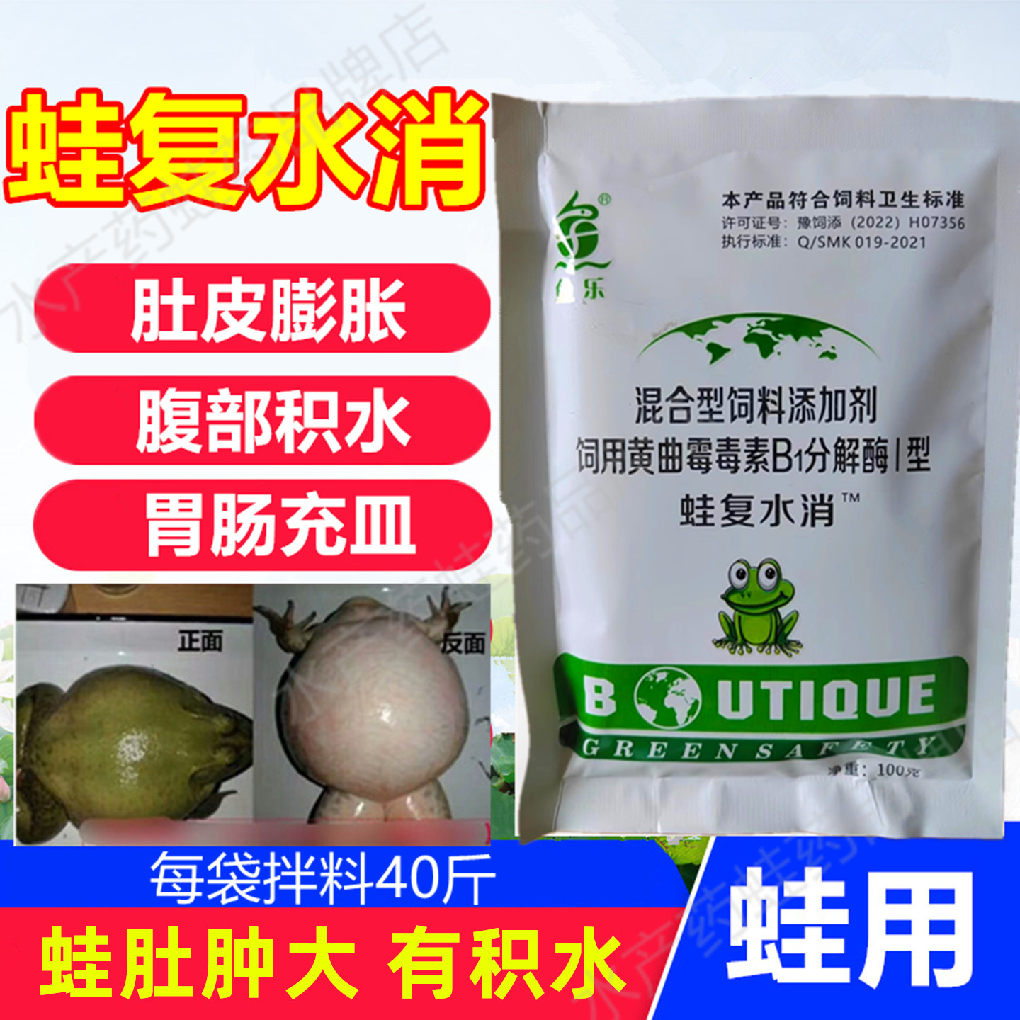 牛蛙养殖鱼乐蛙复水消胀肚皮青蛙大肚子病石蛙腹部积水肠胃林蛙