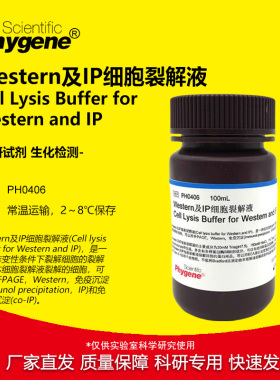 Western及IP细胞裂解液 送PMSF 100mL 免疫沉淀 [PH0406 PHYGENE]