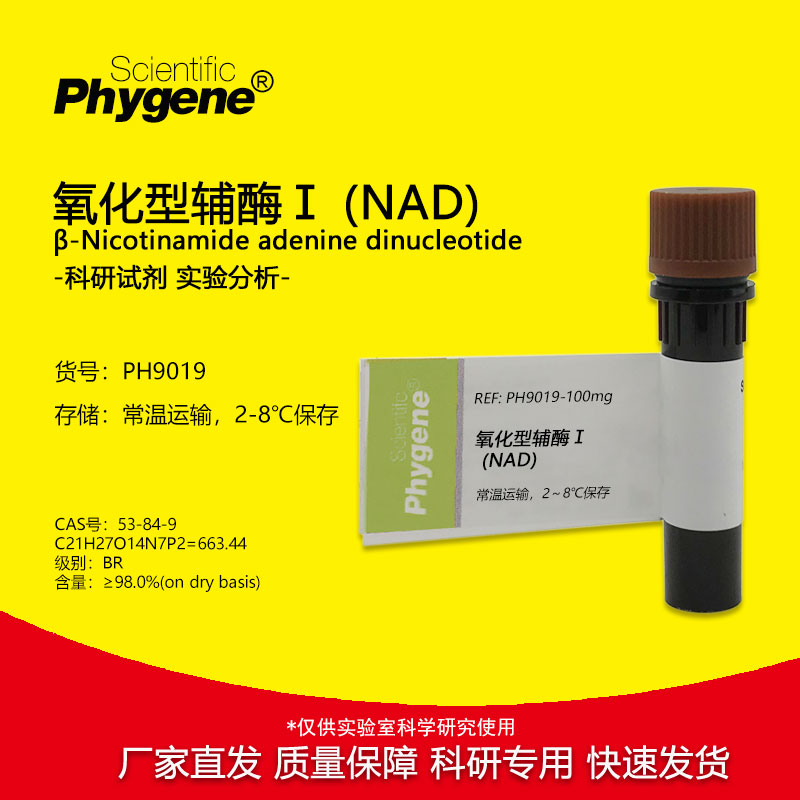 氧化型辅酶 I  NAD试剂 二磷酸吡啶核苷酸 实验试剂 1g CAS: 53-8