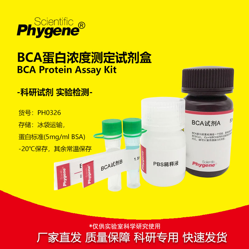 BCA蛋白浓度测定试剂盒实验试剂