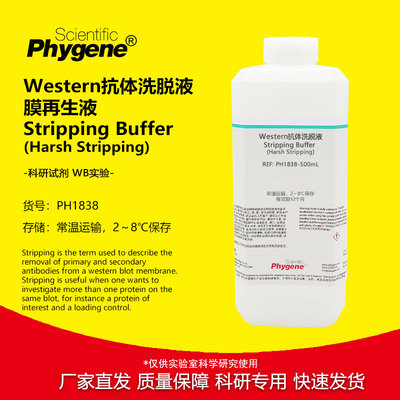 Western抗体洗脱液Phygene