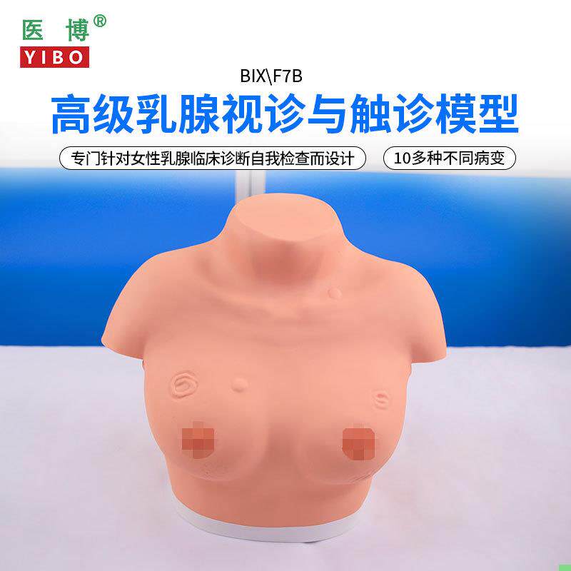 医博BIX-F7B高级乳腺视诊与触诊模型 乳房检查模型 乳房乳腺病变