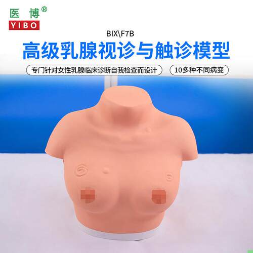 医博BIX-F7B高级乳腺视诊与触诊模型 乳房检查模型 乳房乳腺病变