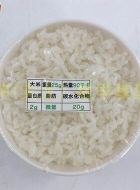 彷真食物模型大碗米饭儿童早教扮家家酒玩具F橱窗摆设道具