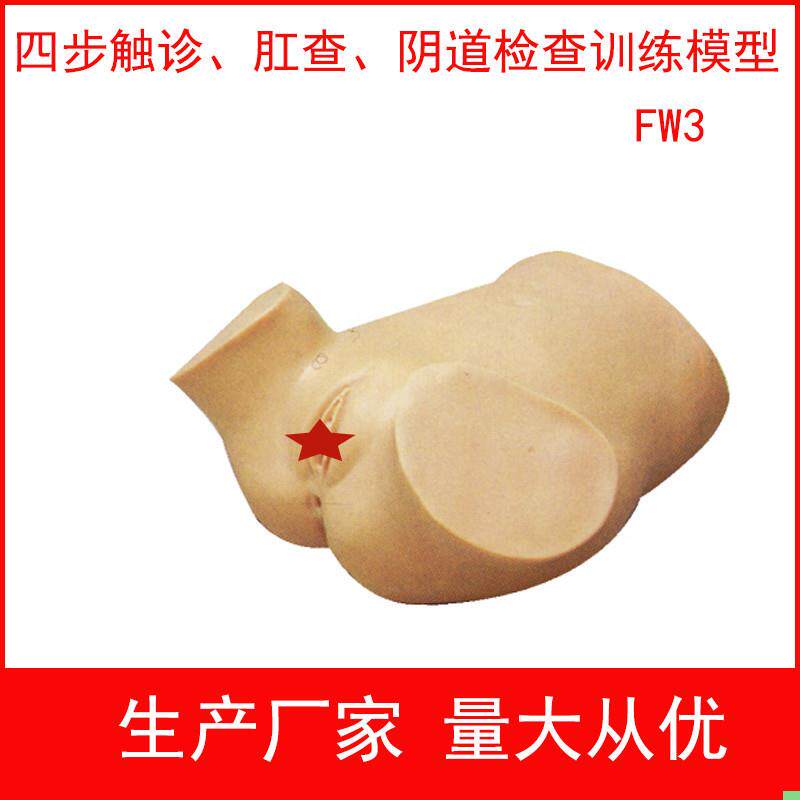 四步触诊肛查阴道检查训练模型 妇产科示教模型 妇科技能操作