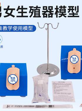 正品高级着装式男性导尿模型P简易导尿模型男性内外生殖解剖模型